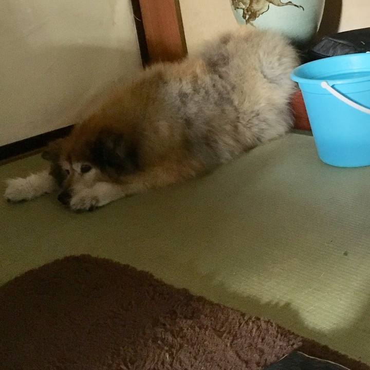 8f23902e af24 4b0b 90b5 d1a57c900fde 1589245445758