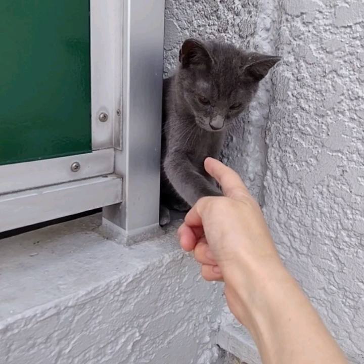 8f239bfe 8cfa 42f3 b593 811cba3b076c 1625449435333