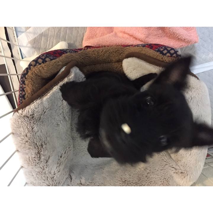 8f23a020 82e5 41fa b53e 3d9c90f56373 1514867362713