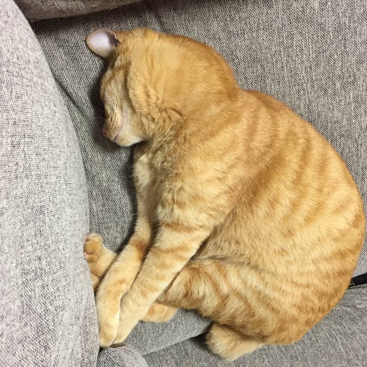 8f23d617 2ffb 4a61 b2c9 7c900728219d 1534181515502