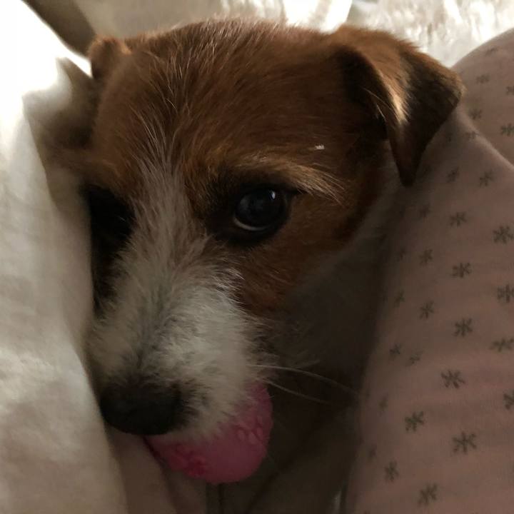 8f24117d 723e 472d a144 fc8c09566535 1527980614995