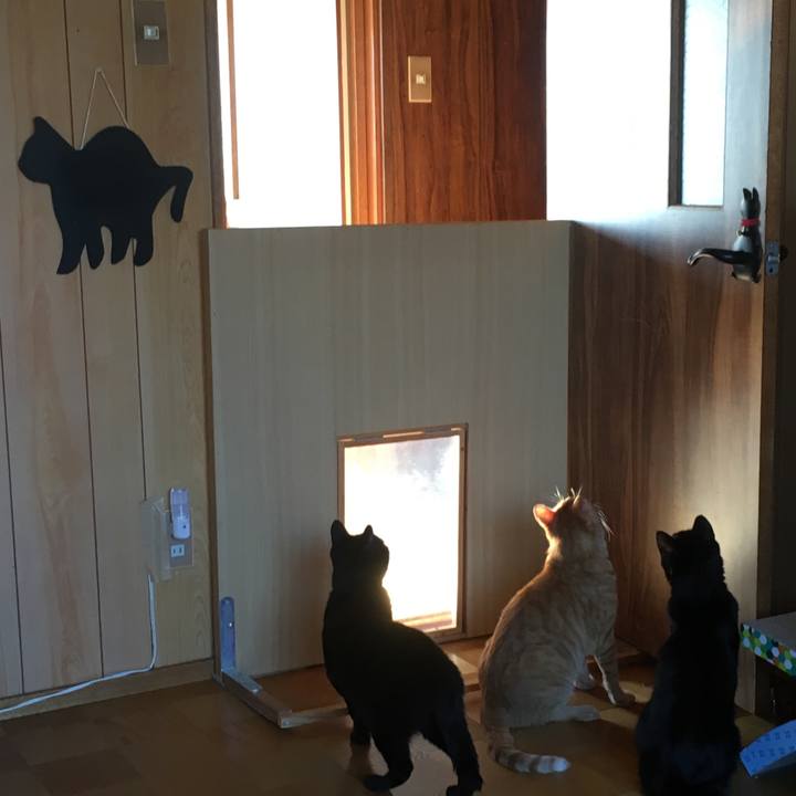 8f244323 5baa 4a08 b067 727a24474553 1532814552392