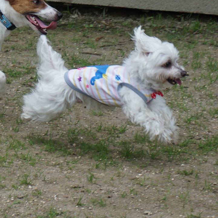 8f2454c6 64c5 409e 8da4 e1110fbd40cb 1523682964438