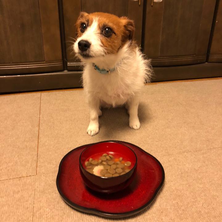 8f247ef5 6156 4302 bbc2 d4b299a9630f 1514967998496