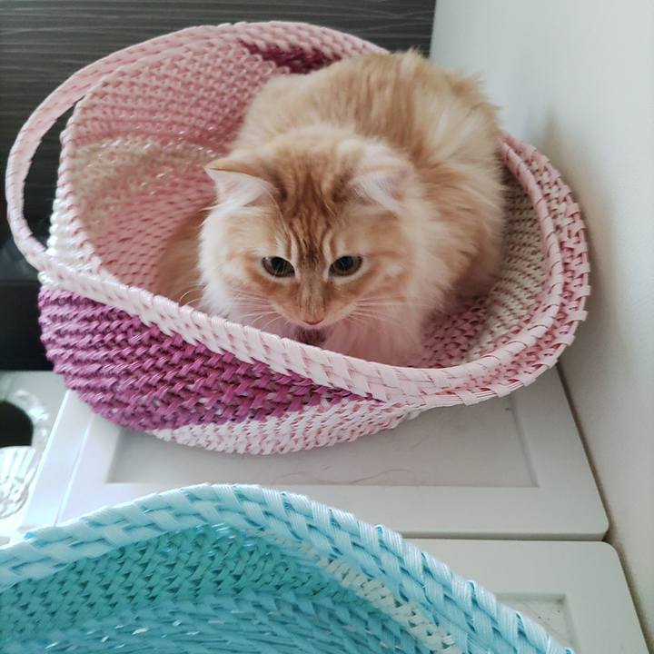 8f248e60 b510 4af8 ae54 f9b62ae1dce5 1656914378906