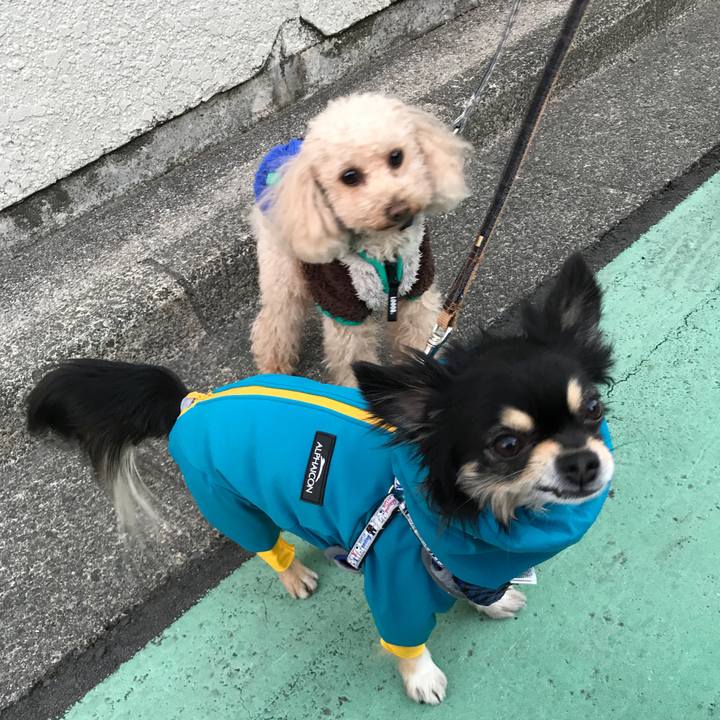 8f24b40e c869 42f8 8cb5 8b5eb0aeb013 1518436102673