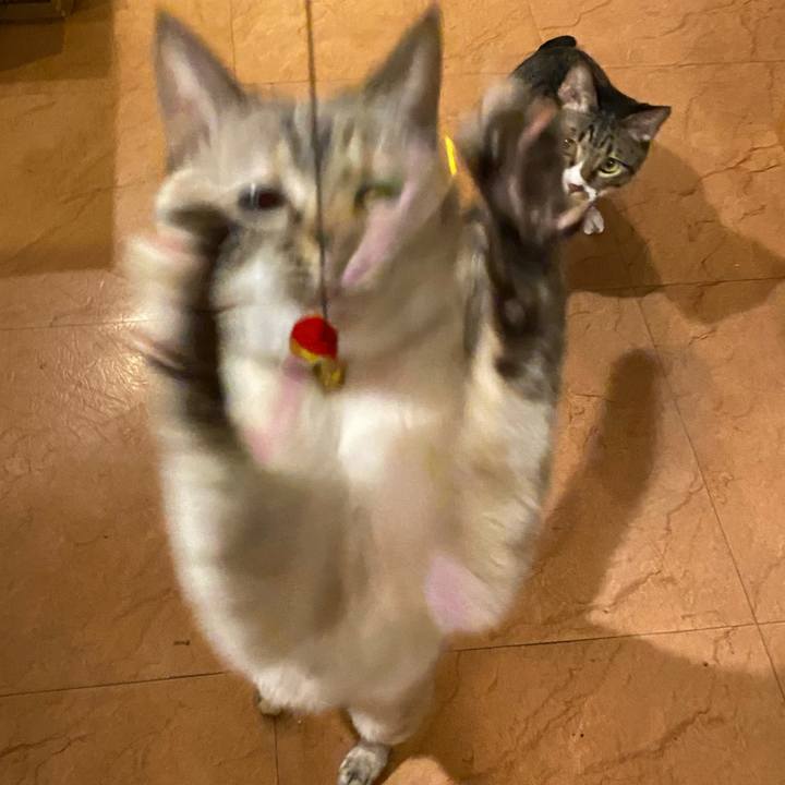 8f24beb0 9d02 4b46 b37e 860c256d79ce 1708593802681