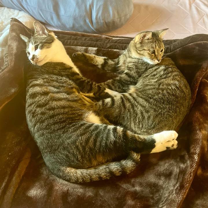 8f24c1ec 79dc 480d bf8d 10707cf6faf2 1761223165180