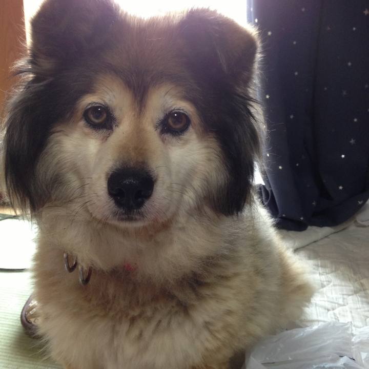 8f254f77 f738 4caf a8ba c59fd558c480 1561071861178