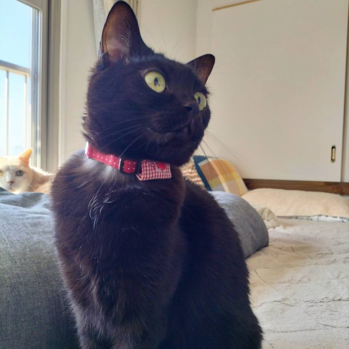 8f2558d6 67c0 40c1 a86e 1b1fc5392dd4 1709941577683