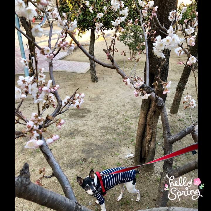 8f255f68 41db 48e9 9c24 a2aeb31b893c 1552122129051