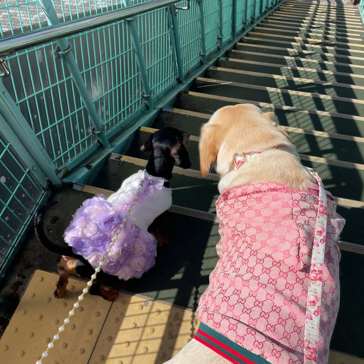 8f256e66 d460 4479 82cf e48b7c72d572 1646228022844