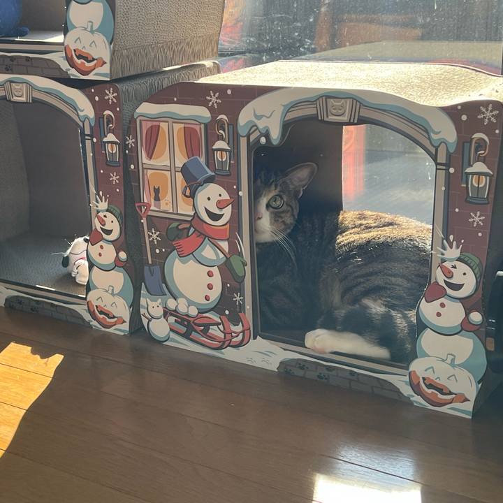 8f25c12b fda4 4579 ad7f f6e1f9c74150 1742517249485