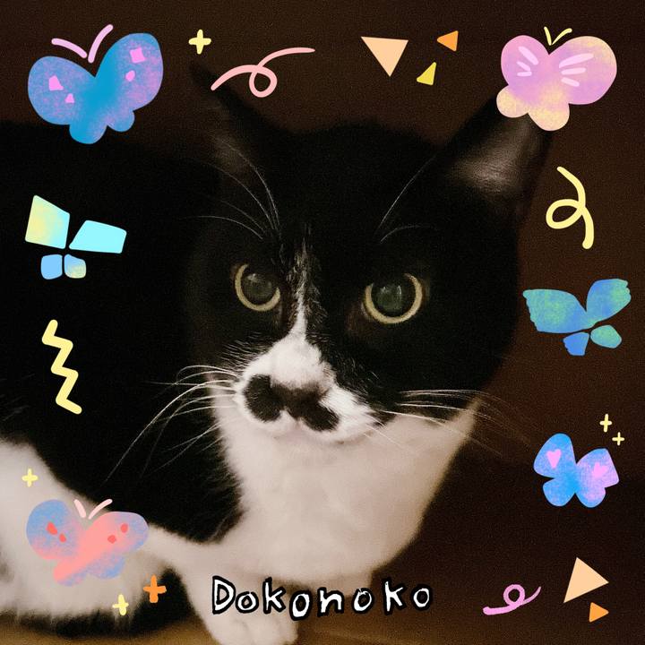 8f25e4f8 0805 4d78 8a95 dff9f3661066 1711051127288