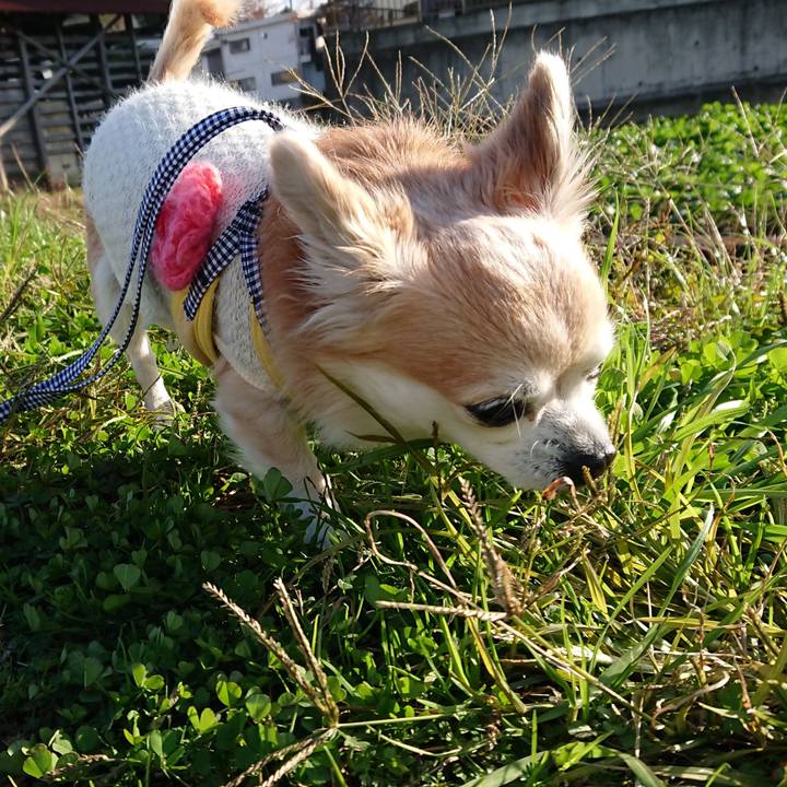 8f25f60a 733d 44cf a805 2d352f2a355f 1544794900964