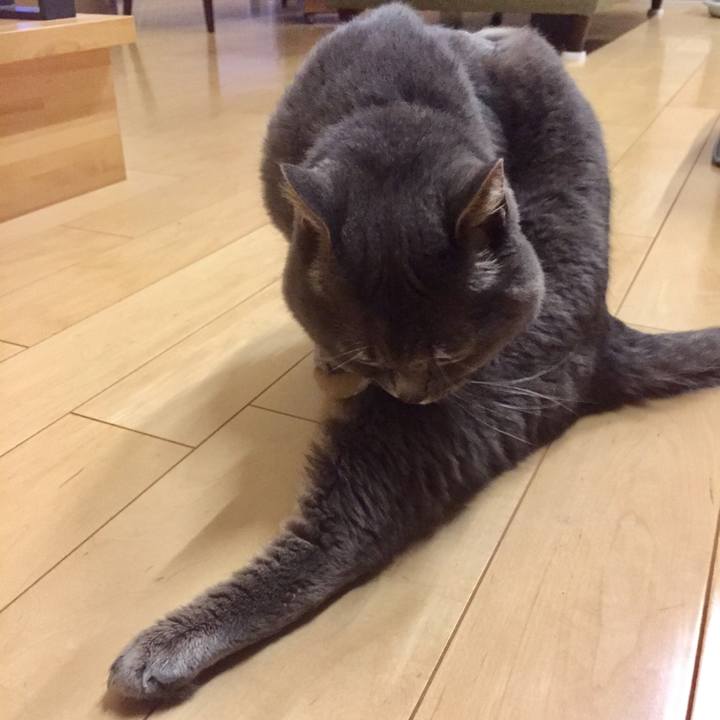 8f264c03 a788 4f2b 967d cef36ddc6467 1530658715164