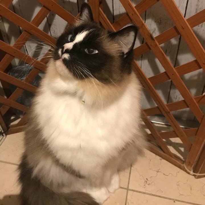 8f2655f6 fea7 4c99 a656 4eef9229cbae 1524437332972