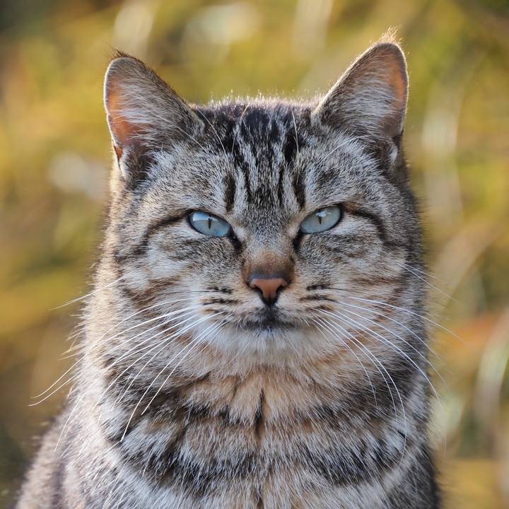 8f266052 275a 49e5 a257 80af71f37023 1612015163497