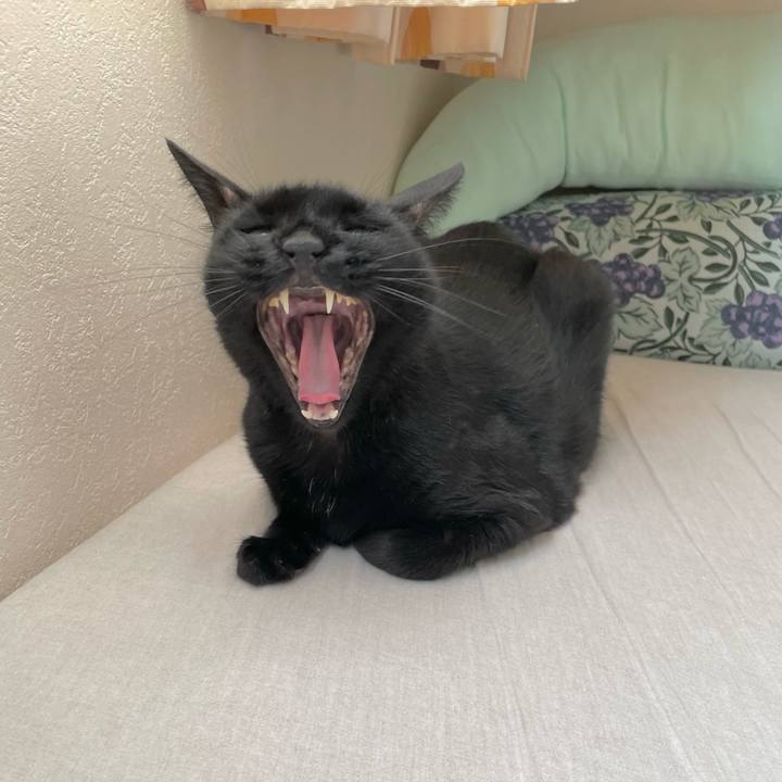 8f2669ce 04c2 4e56 86ce e44eb5ac1578 1692147808514