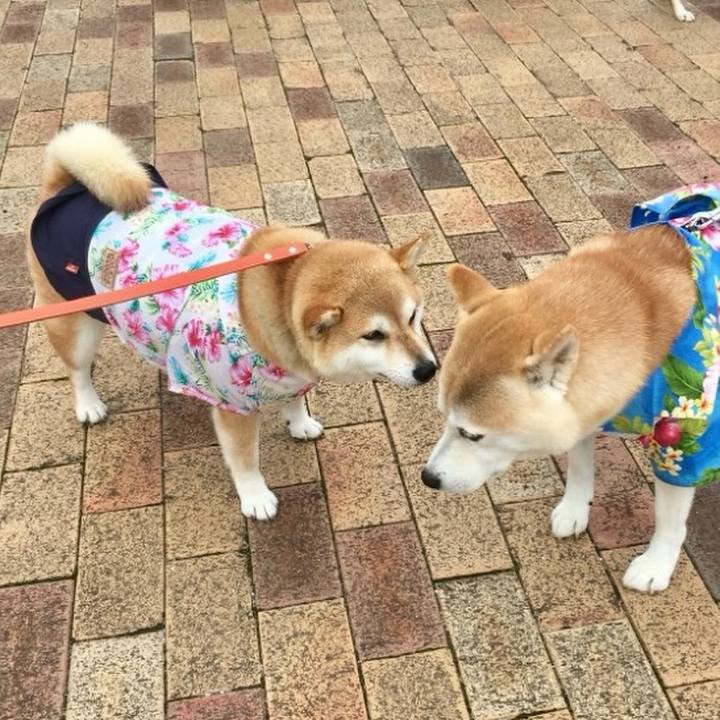 8f268739 c556 4bcf abec ed06fc2ae6af 1766395642595