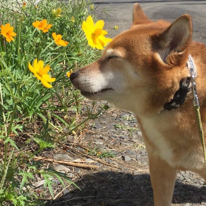 8f26a916 4478 4b51 9fda 61a31b583f0f 1570681145416