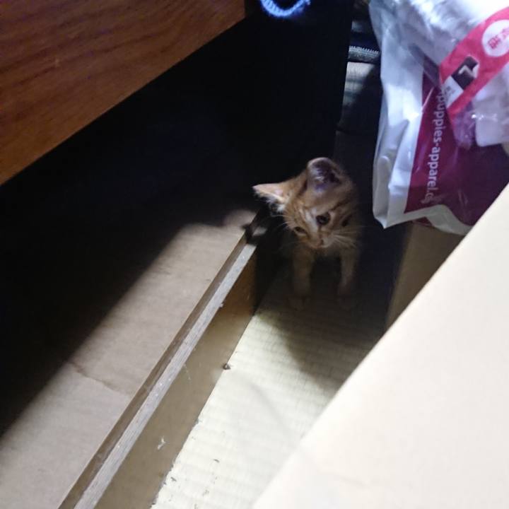 8f26cfd6 db3a 43c6 b396 301ca7eb658b 1627983382536