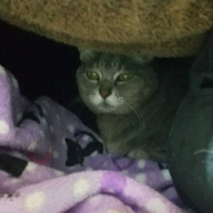 8f26d7c5 462c 4727 96c2 0ec023124099 1607461030733