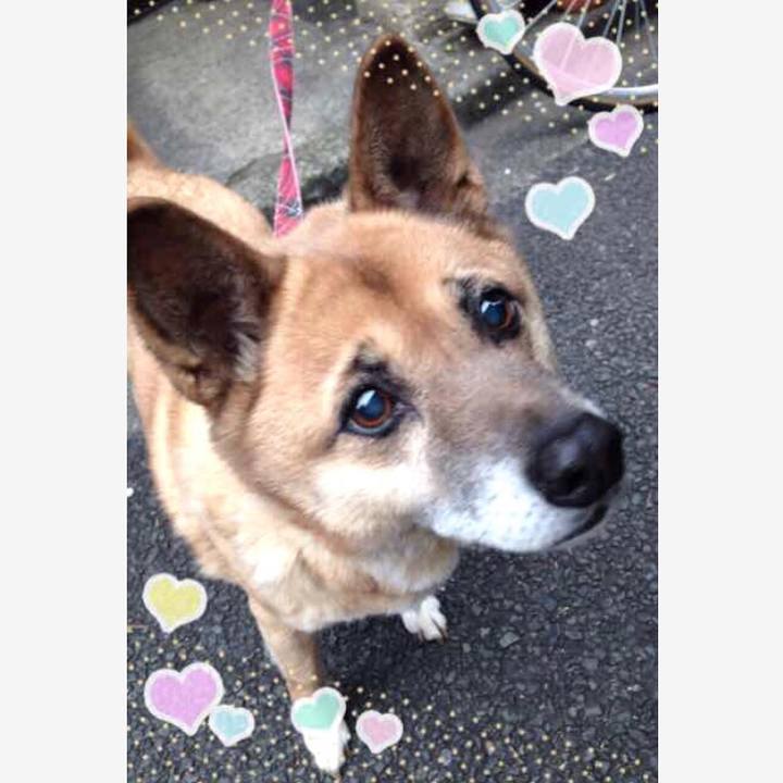 8f26e5c7 9f08 4c32 bc48 1b4cae255045 1569880311563