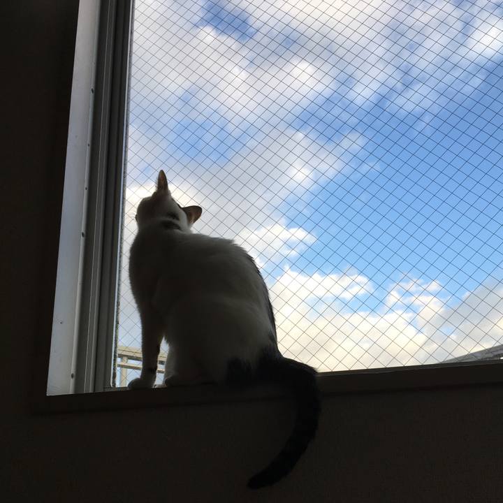 8f26ed37 c2a4 4ff3 b70c 2340ff30aa3e 1509433419429