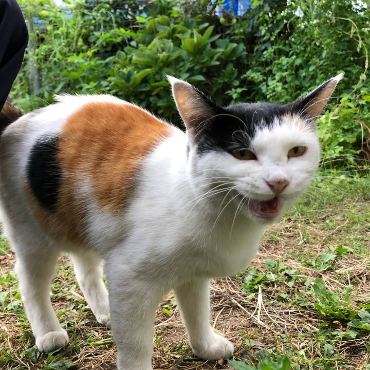 8f26f9d9 0fa1 4402 81cf f152fcc3ccb3 1601849968242