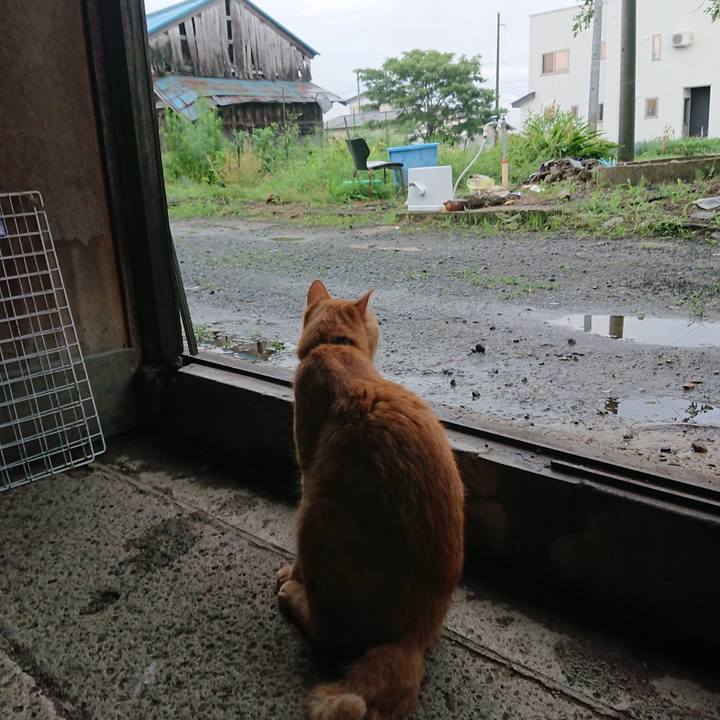 8f270463 7988 4b55 8cb6 8602b2f3a002 1661647678027