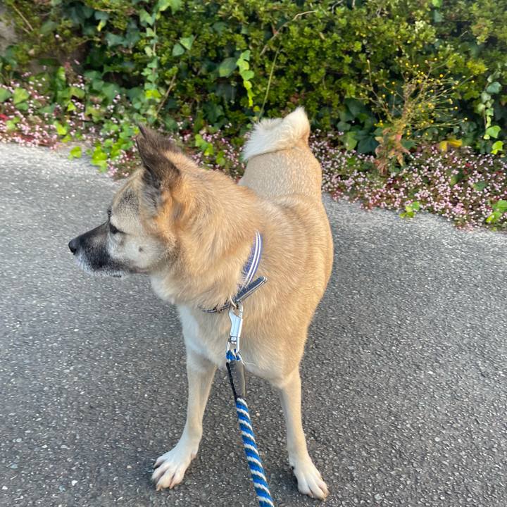 8f270ca9 c419 42eb 80e1 f9accd4c0d63 1667568269013