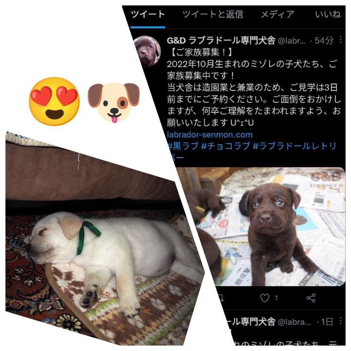 8f273373 683a 4170 9994 1f1333766f85 1668157784483