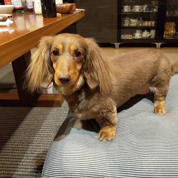 8f274ee0 ab8d 4de3 adac 0ed3d3b07c4a 1552311835527