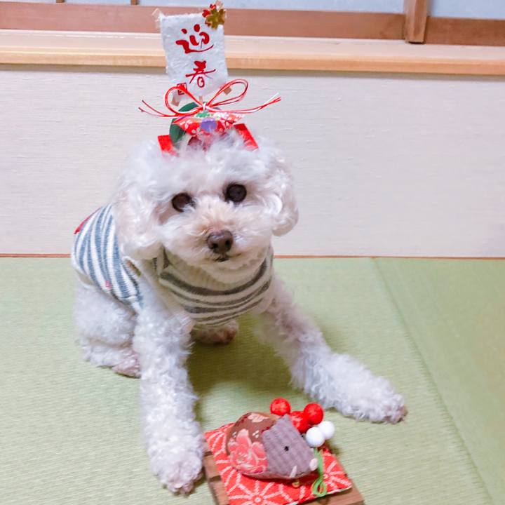 8f276142 fe98 4f83 a0bc 869546cee5c5 1546779611610