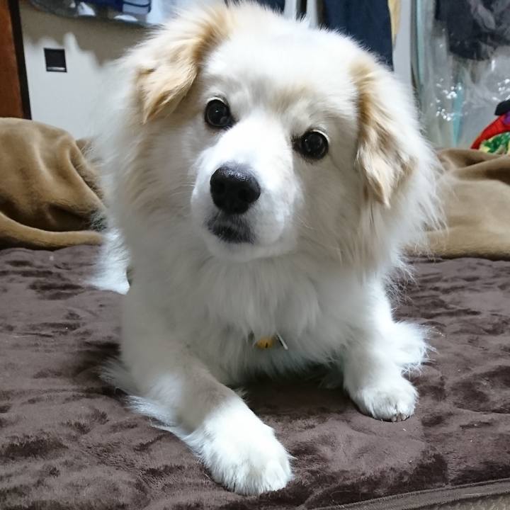 8f277b26 5e49 49f4 b045 5dc9f8c6bc2d 1523825232717