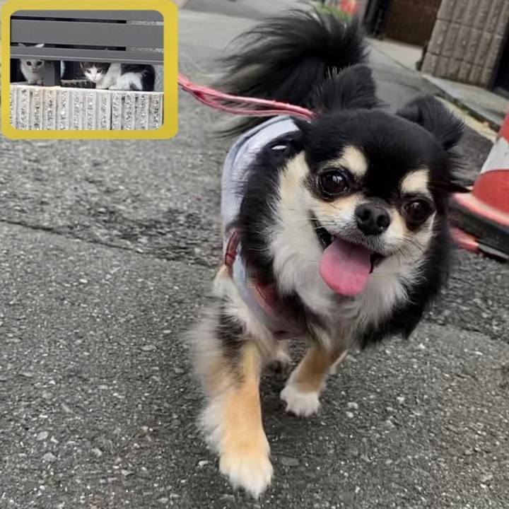 8f277e23 519a 4b01 a0bd 06f7f6e3b71f 1655879236607