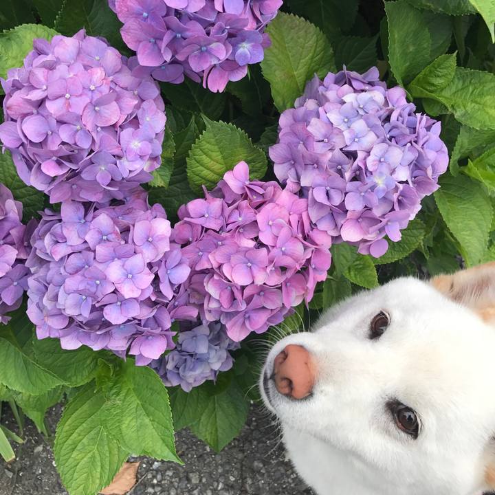 8f27802c 8f4e 41e4 8579 161905d657ce 1561187549703