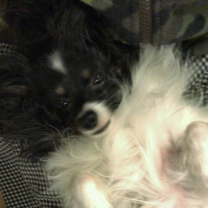 8f27caba a8b0 401c aae8 2dd0527ba222 1517226864392