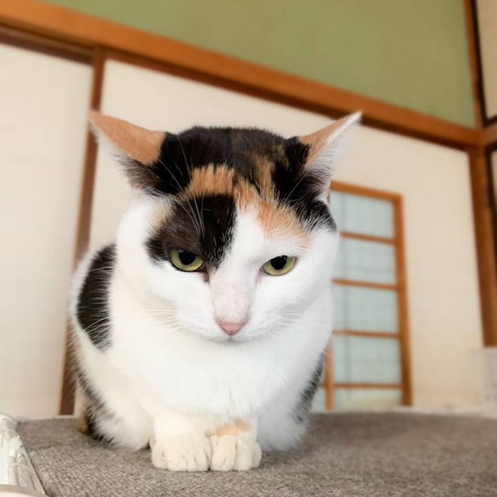 8f281bf9 98a6 4fee a7ef 7e91dd617f59 1577236797656