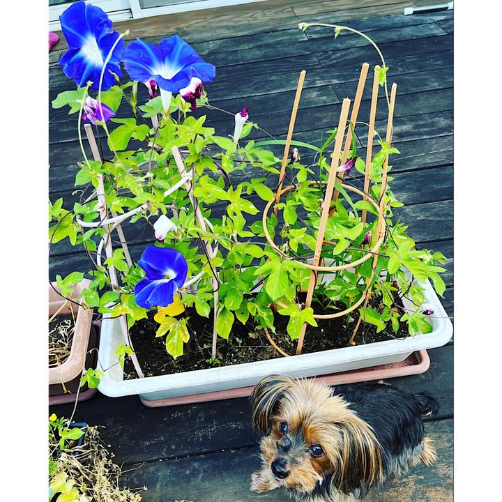 8f282b03 baee 43fd abf7 03c1ae9d3f9f 1691278794006