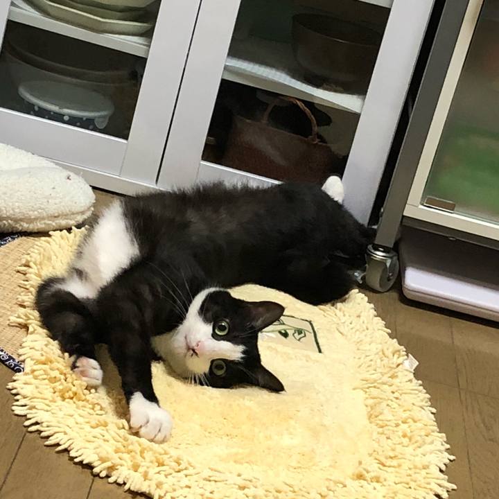 8f283d0b 4f8f 40a7 b51d 89189c61fa8f 1531110822562