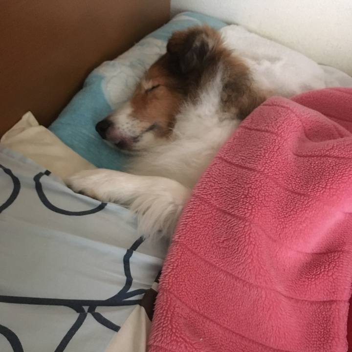 8f2848f7 6dae 4dea 83b9 38e335beae8e 1697338745841