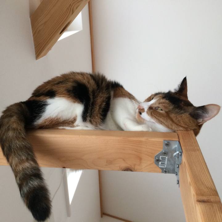 8f2852b7 9364 4bd0 a17e 3d2a6ac4bdfa 1537584403517