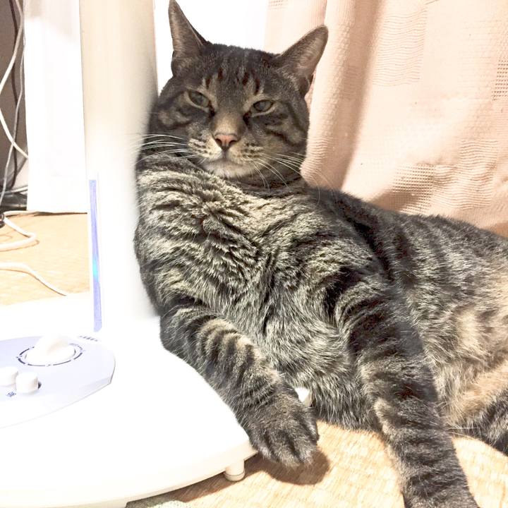 8f288f01 2bb7 44b0 ac56 c9ca0550649b 1570098052449