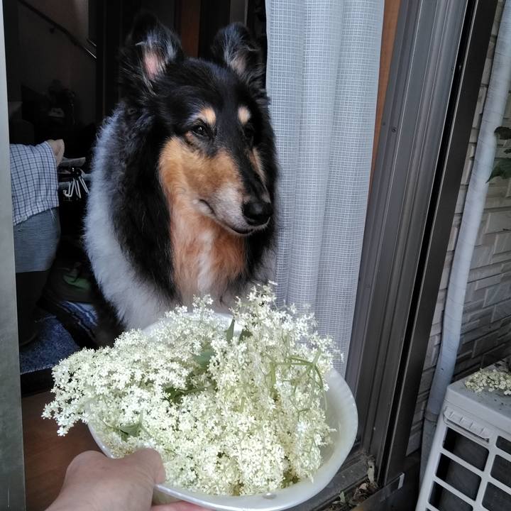 8f28c1d5 6c61 4133 8e24 92a3591ed657 1527338370810