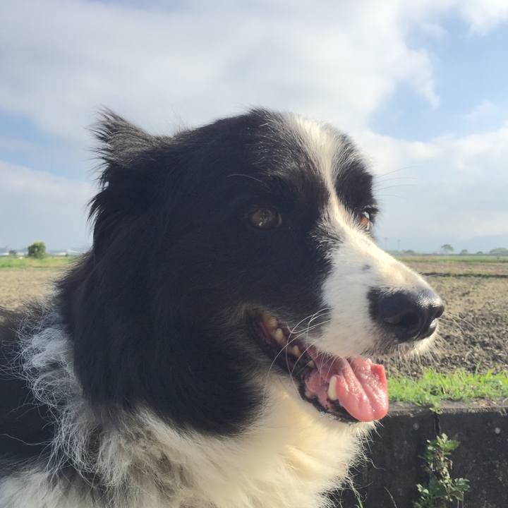 8f28cf87 1a89 42a3 9555 2cf28e864e4f 1528496778289