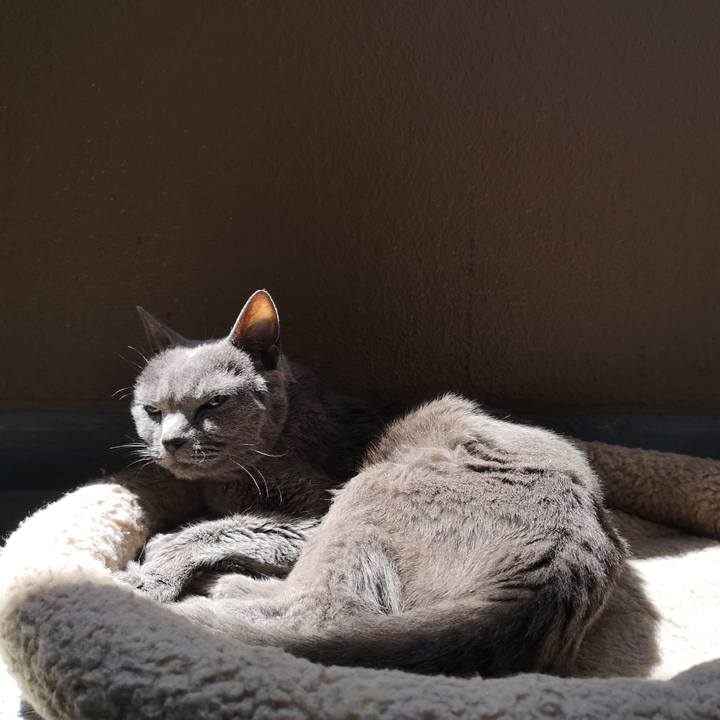 8f290088 3ec2 460d 8cc0 9350edc03bae 1683853546460