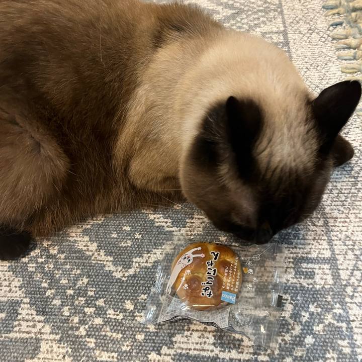 8f2922fb 4449 4e3c 89e3 2d6b899e71ca 1686658103974