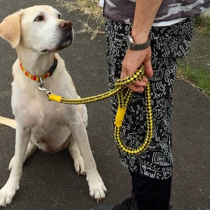 8f292686 7f94 42df b7b7 777f38b4a854 1563796285216